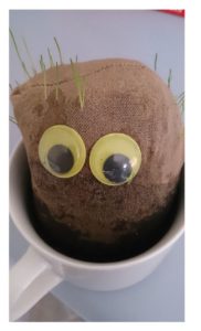 grasshead